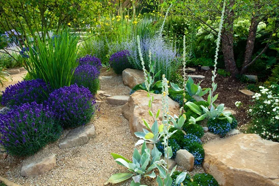 Jardin paysager extérieur avec sentier en gravier et pierres naturelles