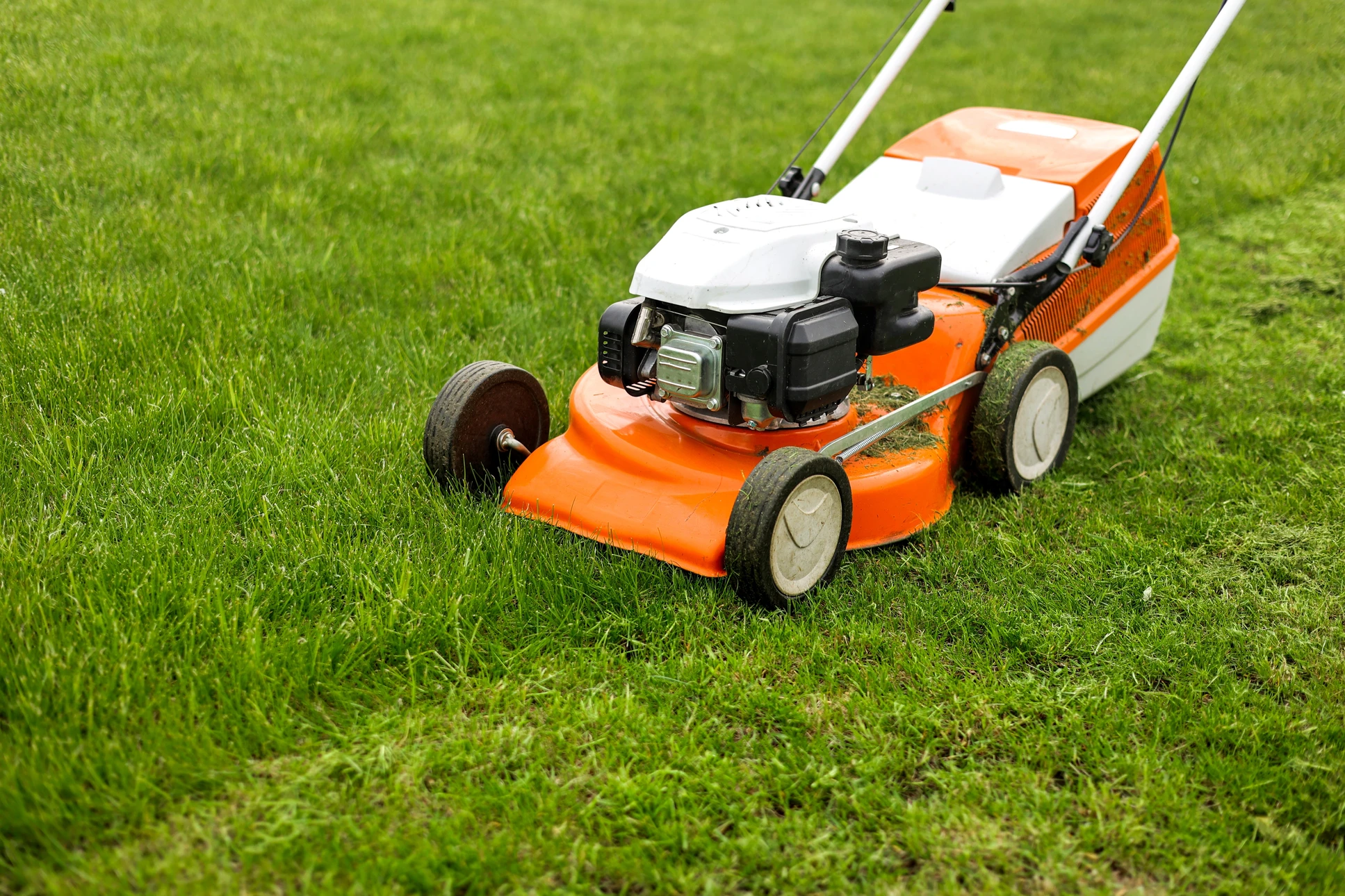 Professionnel en tenue de travail beige utilisant une tondeuse électrique sur pelouse verte bien entretenue dans jardin paysager avec arbustes taillés en arrière-plan