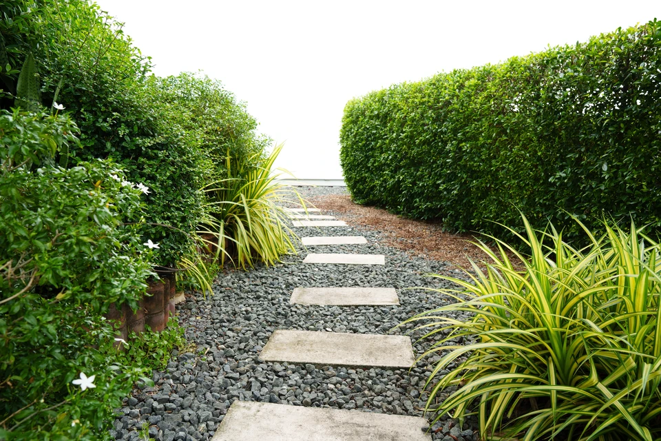 Allée de jardin pavée en briques avec motif en chevrons, bordée de pelouse verte et plantations paysagères variées