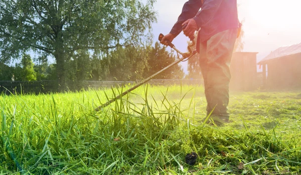 Un professionnel paysagiste effectuant un débroussaillage actif sur un terrain : l'artisan utilise une débroussailleuse ou un équipement similaire pour nettoyer un terrain envahi par de la végétation dense, des ronces ou des arbustes de faible hauteur. Le terrain avant intervention est clairement visible, montrant une zone en friches avec végétation sauvage. La scène se déroule en plein air, en conditions réelles d'intervention, avec l'équipement de travail et le résultat visible du nettoyage en cours.