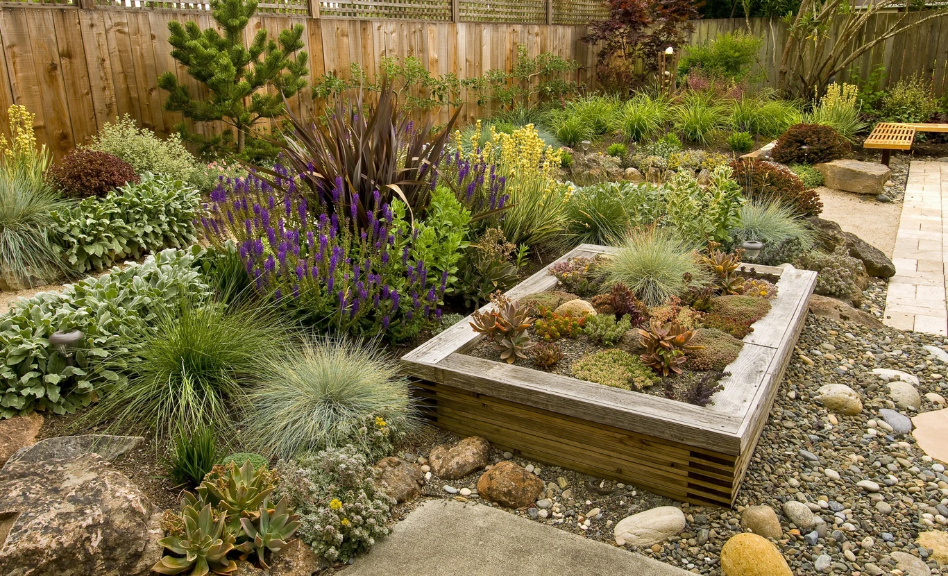 Jardin résidentiel moderne avec terrasse en dalles de béton, bordures paysagères en paillis noir, pelouse tondue et plantation d'arbustes conifères le long d'une clôture en bois