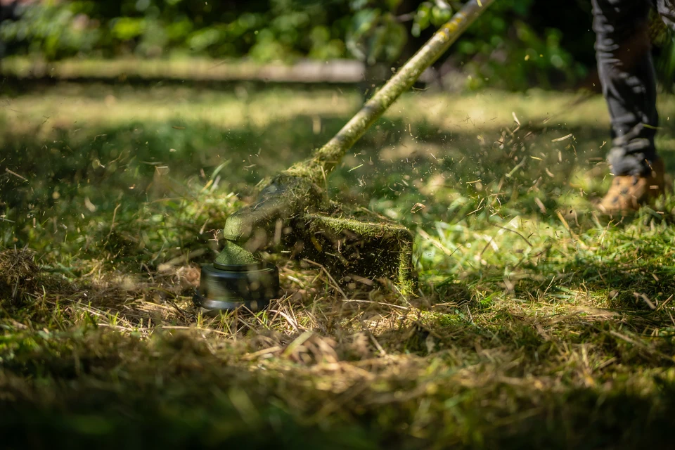 Professionnel en tenue de travail utilisant une tronçonneuse pour découper un tronc d'arbre abattu dans un environnement extérieur verdoyant