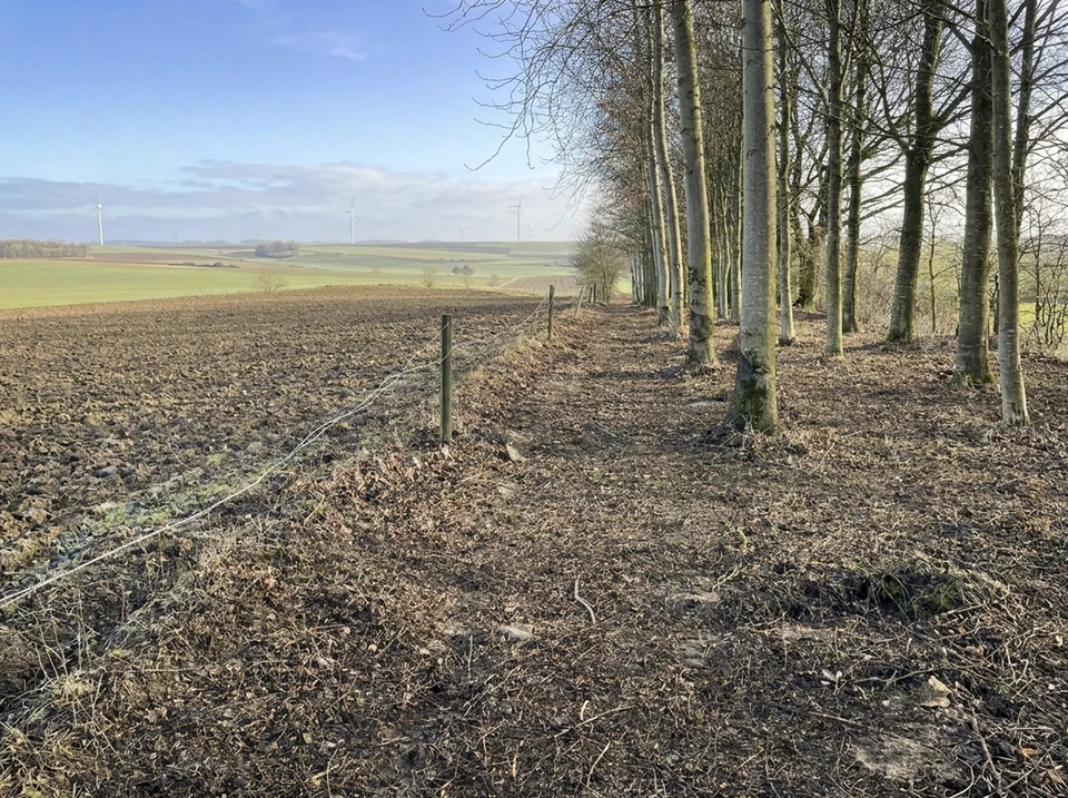 Aménagement paysager extérieur avec sentier en dalles de pierre naturelle, murets en pierres sèches et structure pergola en bois