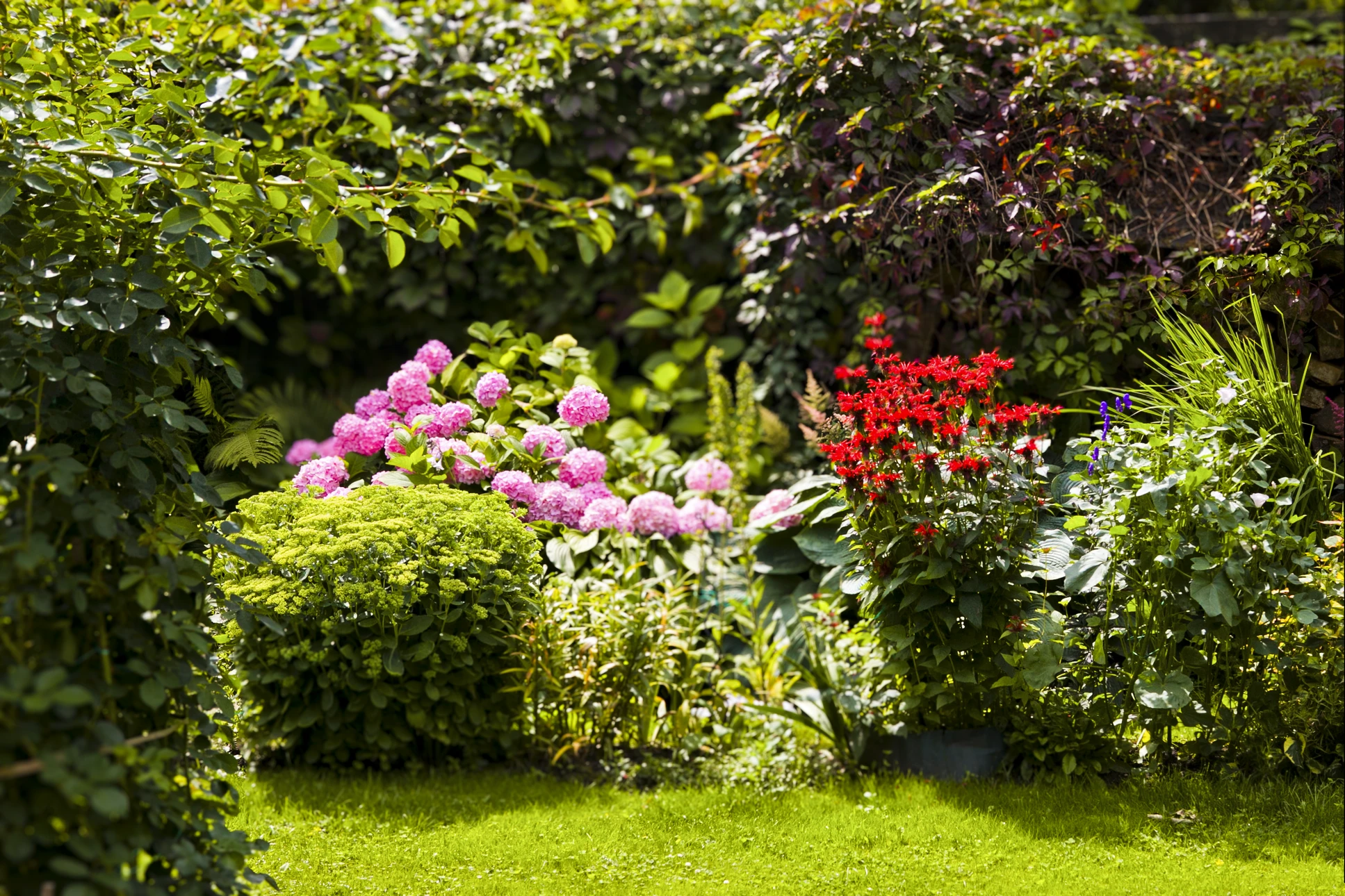 Photographie d'un jardin résidentiel montrant au premier plan un parterre de fleurs bien délimité avec une bordure nette (pierre, brique ou petite clôture), contenant des massifs de fleurs colorées et structurés de manière professionnelle. En arrière-plan, une maison et des éléments du jardin bien entretenus. La scène doit montrer clairement le travail de création et de délimitation de massifs, avec une exécution soignée et des aménagements paysagers de qualité professionnelle.